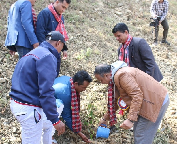 प्रथम मेयर कप फुटबलमा वडा ५ विजयी